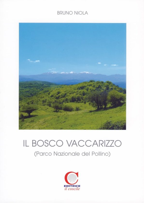 Libro_Niola_Bosco_Vaccarizzo-1.jpg